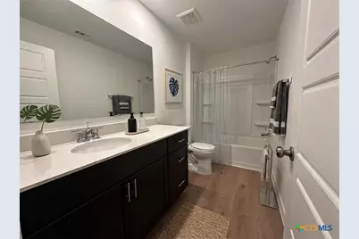 936 Heartseed Avenue, New Braunfels, TX 78130 - Photo 19