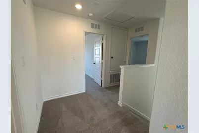 945 Heartseed Avenue, New Braunfels, TX 78130 - Photo 19