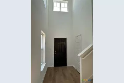 945 Heartseed Avenue, New Braunfels, TX 78130 - Photo 3