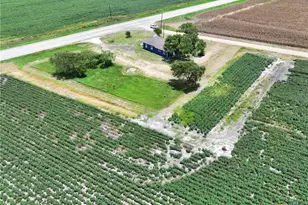 7296 FM 234, El Toro, TX 77957 - Photo 9