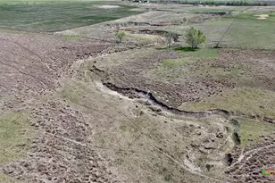 Tbd County Road 291, Shiner, TX 77984 - Photo 7