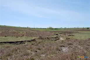 Tbd County Road 291, Shiner, TX 77984 - Photo 15