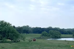 2427 Fm 234 S, Edna, TX 77957 - Photo 23