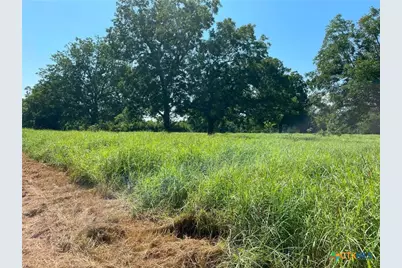 2427 Fm 234 South, Edna, TX 77957 - Photo 5