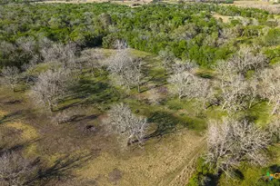 2427 Fm 234 S, Edna, TX 77957 - Photo 17
