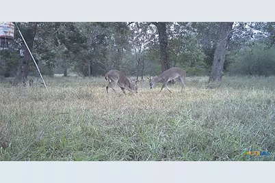 2427 Fm 234 South, Edna, TX 77957 - Photo 41