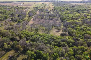 2427 Fm 234 S, Edna, TX 77957 - Photo 5