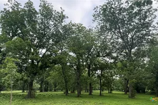 2427 Fm 234 S, Edna, TX 77957 - Photo 21