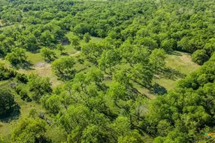 2427 Fm 234 S, Edna, TX 77957 - Photo 7
