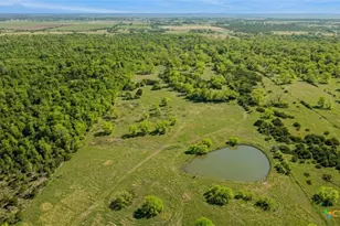 2427 Fm 234 S, Edna, TX 77957 - Photo 3