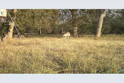 2427 Fm 234 South, Edna, TX 77957 - Photo 45