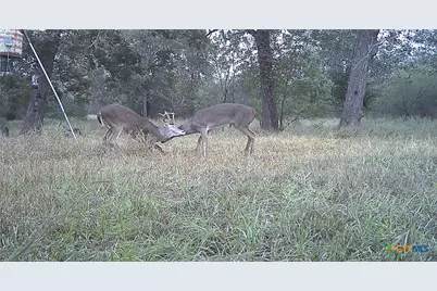 2427 Fm 234 South, Edna, TX 77957 - Photo 37