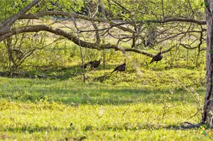 2427 Fm 234 S, Edna, TX 77957 - Photo 21