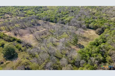 2427 Fm 234 South, Edna, TX 77957 - Photo 9