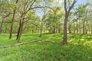 2427 Fm 234 S, Edna, TX 77957 - Photo 19