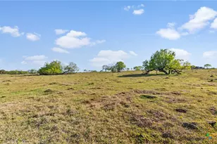 2427 Fm 234 S, Edna, TX 77957 - Photo 15