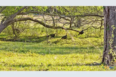 2427 Fm 234 South, Edna, TX 77957 - Photo 31