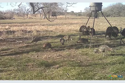 2427 Fm 234 South, Edna, TX 77957 - Photo 39