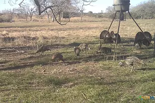 2427 Fm 234 S, Edna, TX 77957 - Photo 39