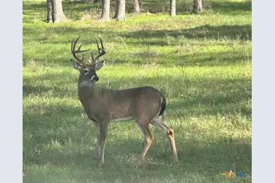 21344 Fm 2268, Holland, TX 76534 - Photo 39