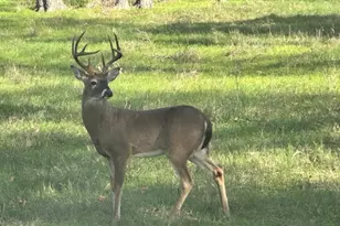 21344 FM 2268, Holland, TX 76534 - Photo 39