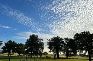 21344 FM 2268, Holland, TX 76534 - Photo 23