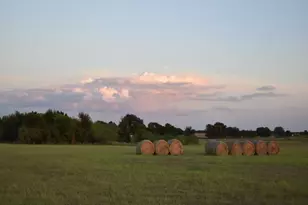 21344 FM 2268, Holland, TX 76534 - Photo 31