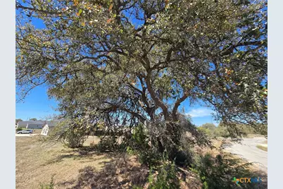 0 Hiram Cook, Blanco, TX 78606 - Photo 3