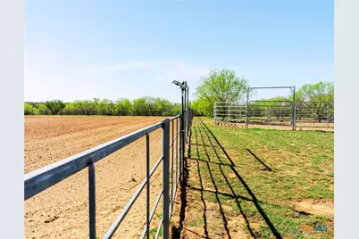1980 County Road 361, La Vernia, TX 78121 - Photo 7