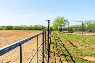 1980 County Rd 361, La Vernia, TX 78121 - Photo 7