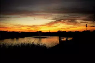 1980 County Rd 361, La Vernia, TX 78121 - Photo 47