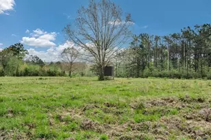 18770 Cr 3265D, Mount Enterprise, TX 75681 - Photo 33