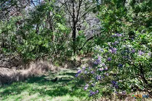 625 Mountain Laurel Dr, New Braunfels, TX 78132 - Photo 5