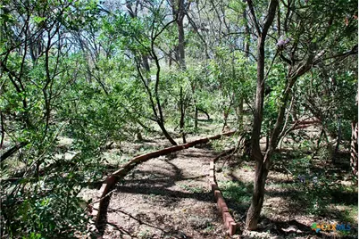 625 Mountain Laurel Drive, New Braunfels, TX 78132 - Photo 33