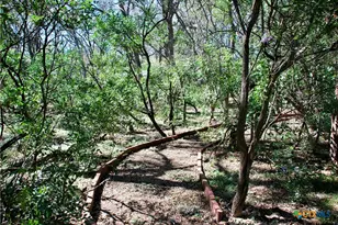 625 Mountain Laurel Dr, New Braunfels, TX 78132 - Photo 33