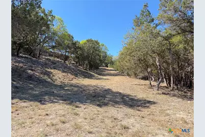 124 Calhoon Court, Canyon Lake, TX 78133 - Photo 25