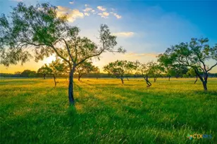 0 Golden Hour Ranch, Johnson City, TX 78636 - Photo 3