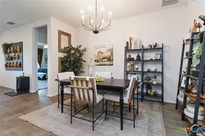 393 Trent Drive, New Braunfels, TX 78130 - Photo 7