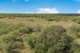 00 Fm 239, Tivoli, TX 77990 - Photo 23