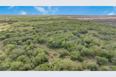 00 Fm 239, Tivoli, TX 77990 - Photo 9