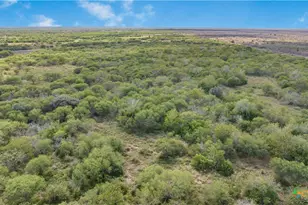 00 Fm 239, Tivoli, TX 77990 - Photo 9