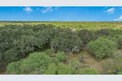 00 Fm 239, Tivoli, TX 77990 - Photo 21