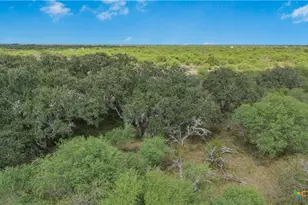 00 Fm 239, Tivoli, TX 77990 - Photo 21