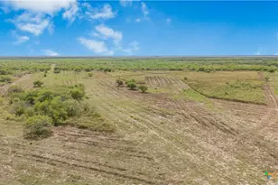 00 Fm 239, Tivoli, TX 77990 - Photo 7