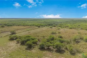 00 Fm 239, Tivoli, TX 77990 - Photo 19