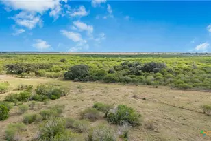 00 Fm 239, Tivoli, TX 77990 - Photo 43