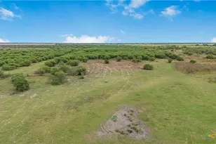 00 Fm 239, Tivoli, TX 77990 - Photo 15