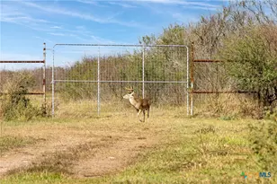 00 Fm 239, Tivoli, TX 77990 - Photo 11