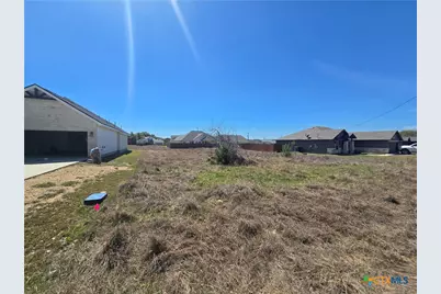 107 Antonio Perez, Blanco, TX 78606 - Photo 5