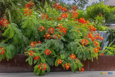 7209 US Highway 87, Cuero, TX 77954 - Photo 9